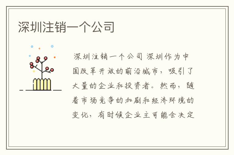 深圳注销一个公司