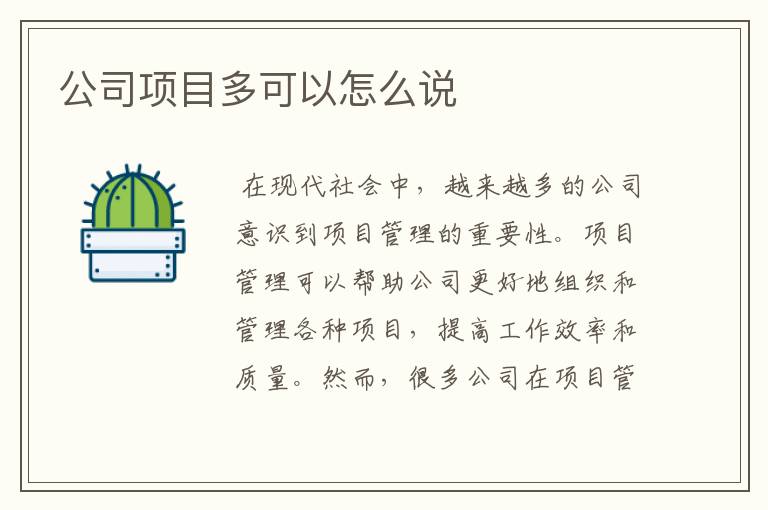 公司项目多可以怎么说