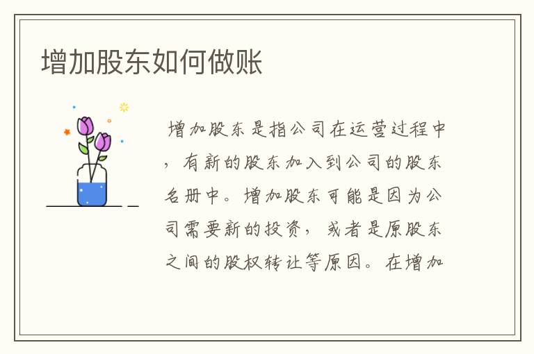 增加股东如何做账