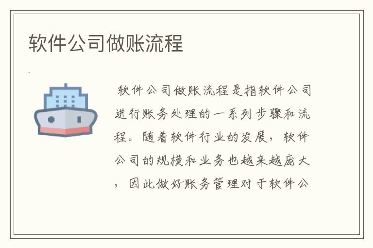软件公司做账流程