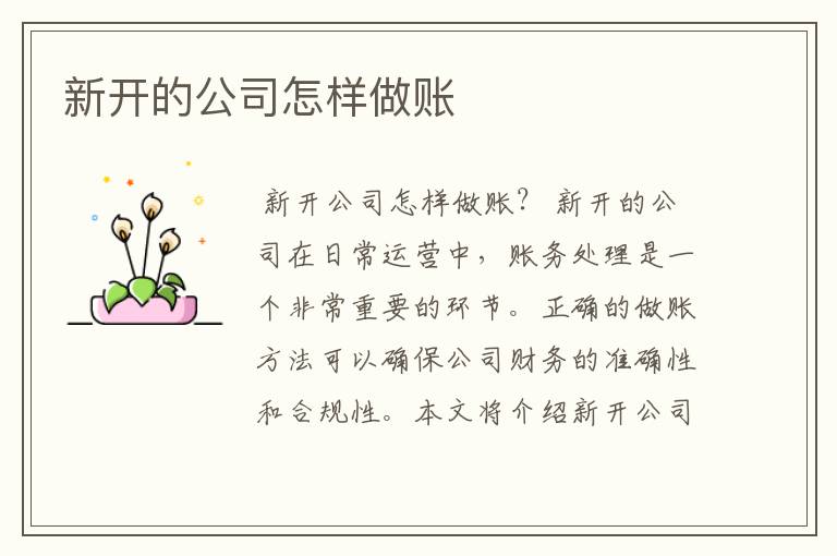 新开的公司怎样做账
