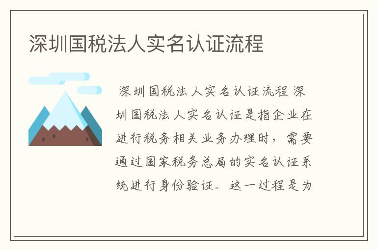 深圳国税法人实名认证流程