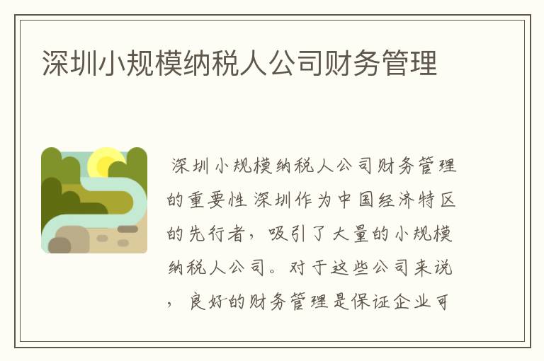 深圳小规模纳税人公司财务管理