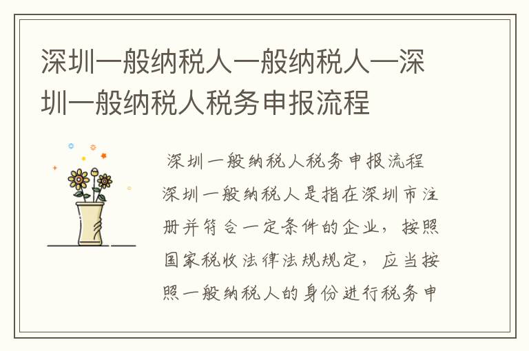 深圳一般纳税人一般纳税人—深圳一般纳税人税务申报流程