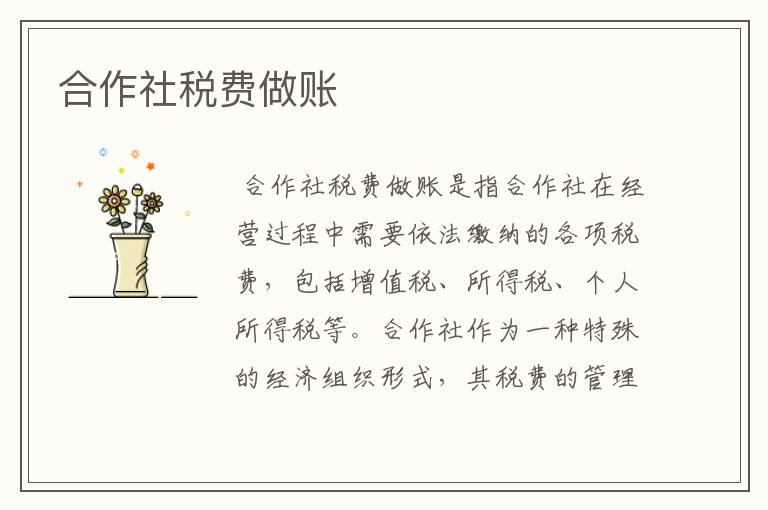 合作社税费做账