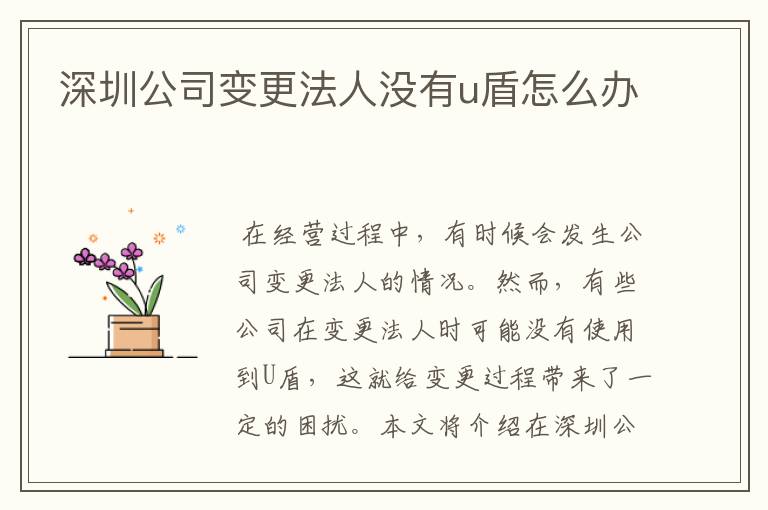 深圳公司变更法人没有u盾怎么办
