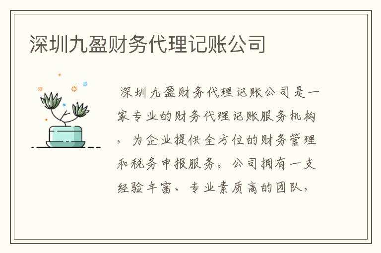 深圳九盈财务代理记账公司