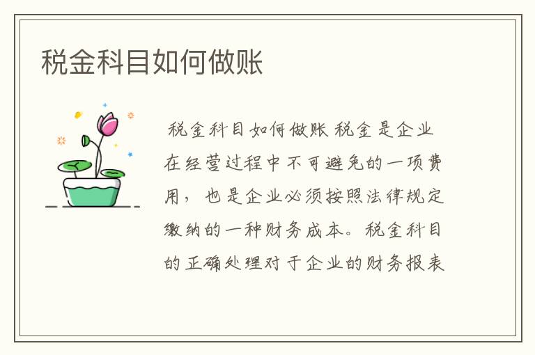 税金科目如何做账