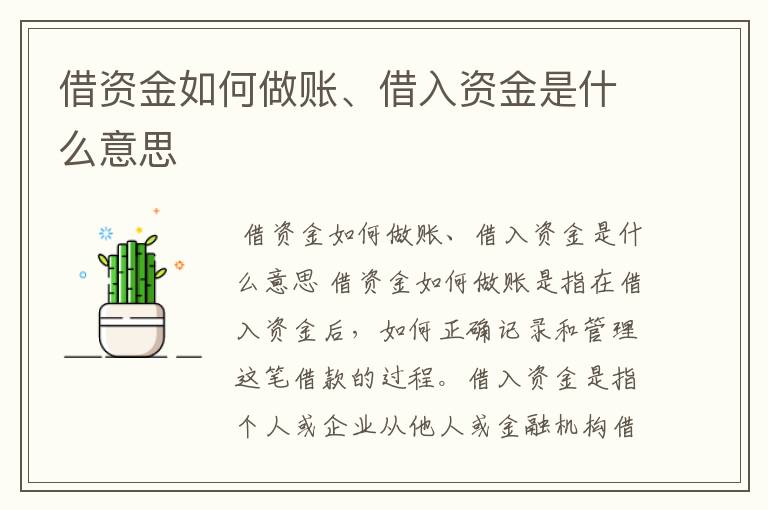 借资金如何做账、借入资金是什么意思