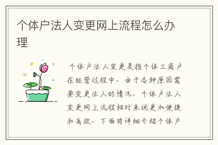 个体户法人变更网上流程怎么办理