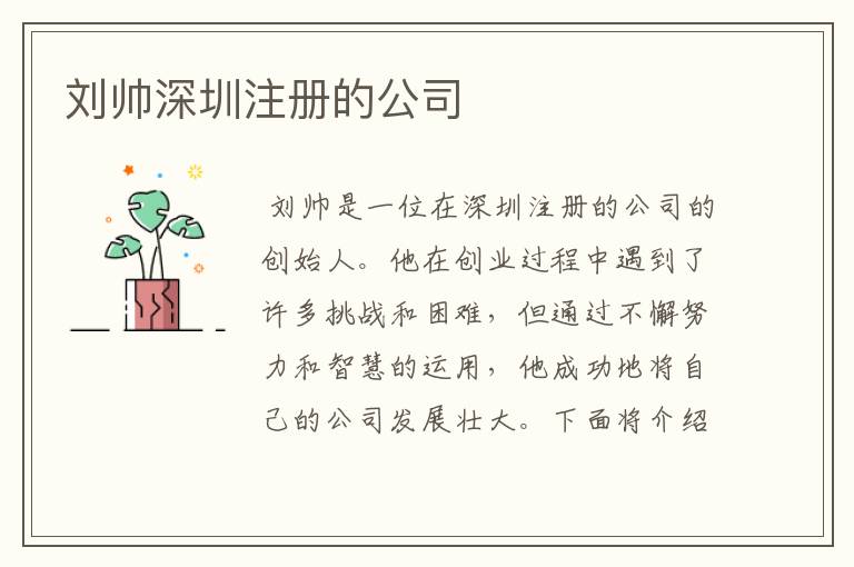 刘帅深圳注册的公司
