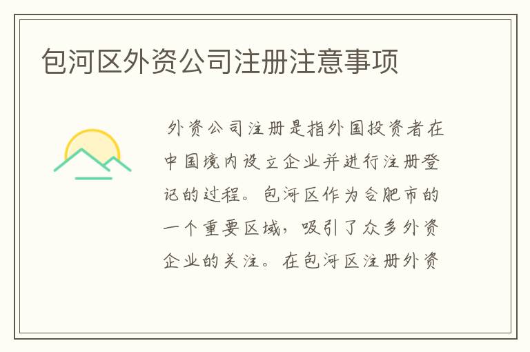 包河区外资公司注册注意事项