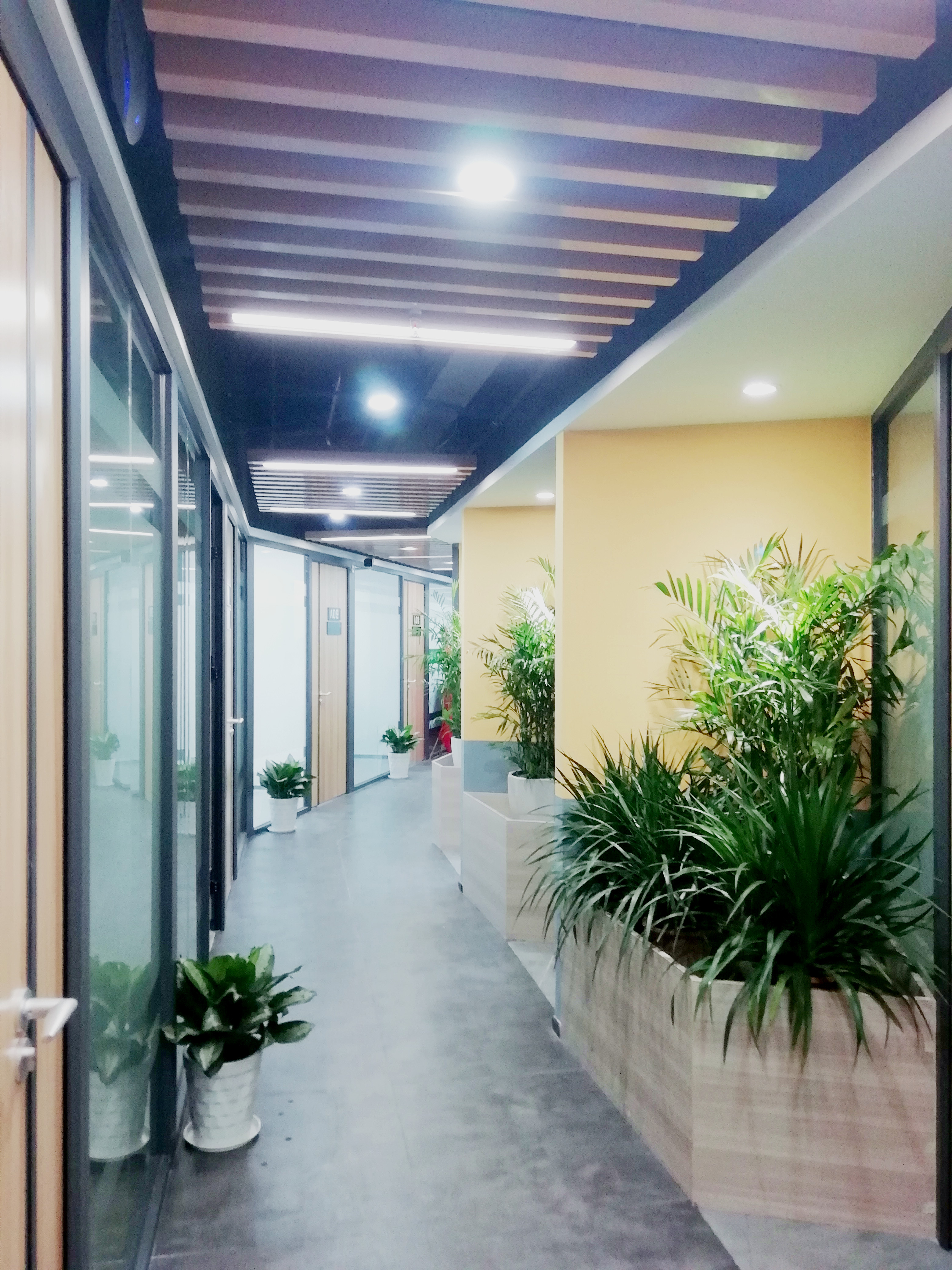 牛栏前带红本精装办公室&费用全包，可注册980元