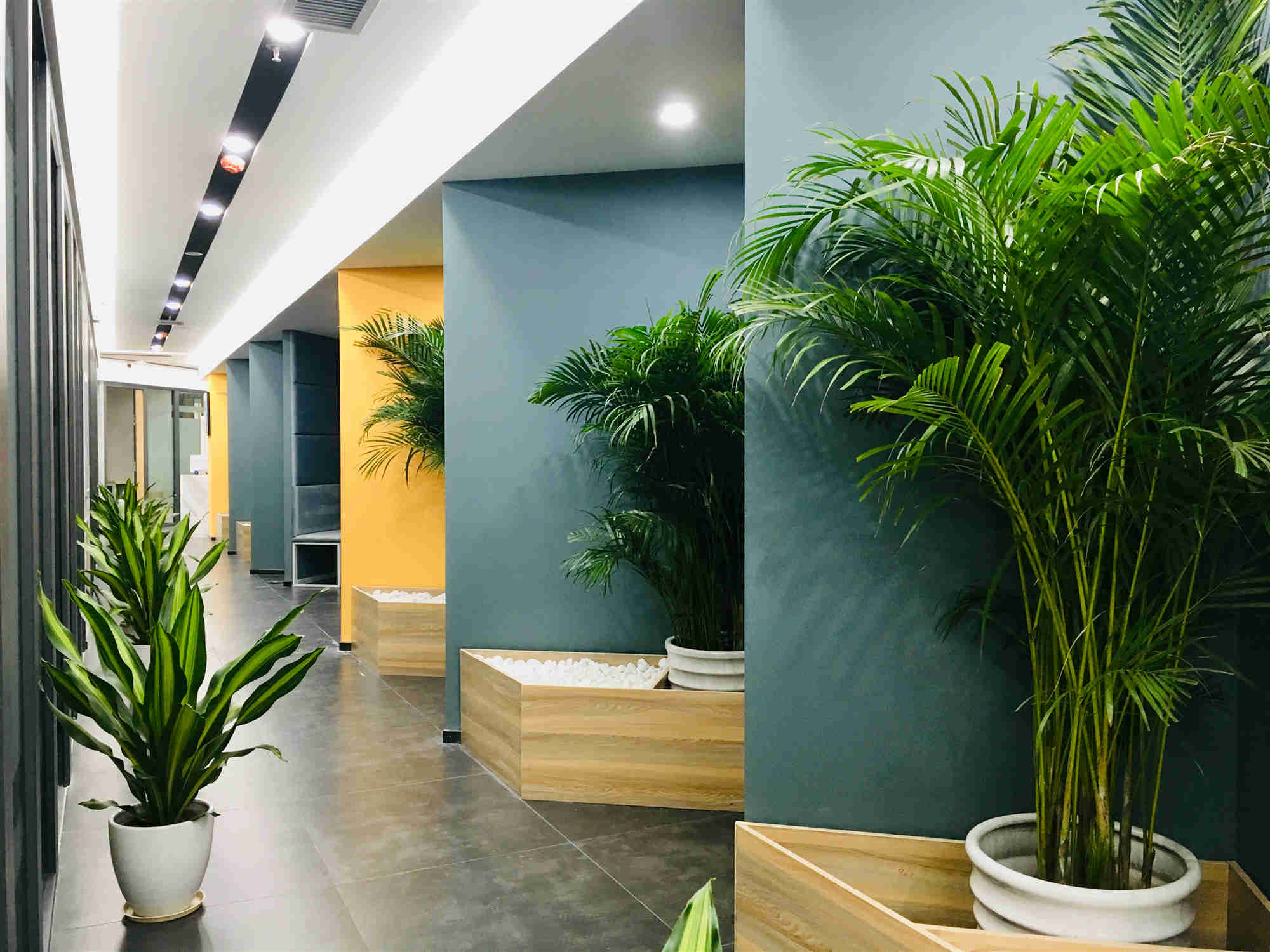 特招租宝安西乡创客小户型办公室，可申请补贴，可注册公司