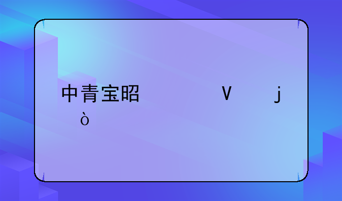 中青宝是干啥的？