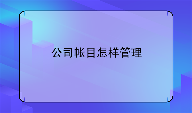 公司帐目怎样管理