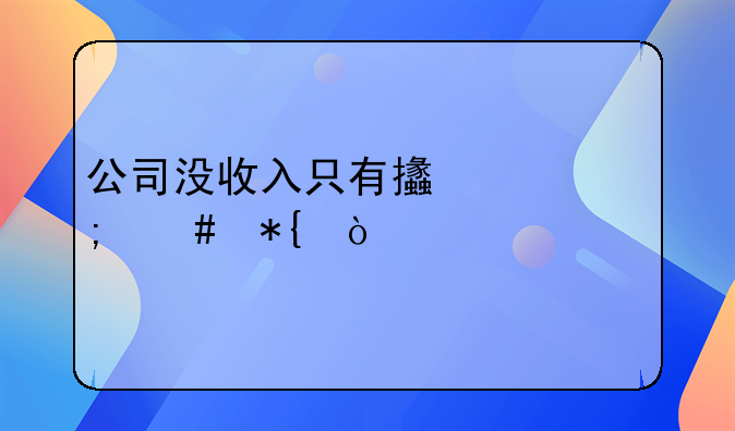 公司没收入只有支出怎么办？