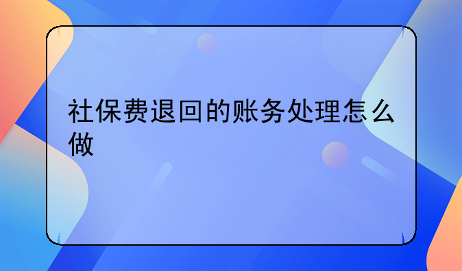 社保费退回的账务处理怎么做