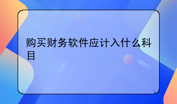 购买财务软件应计入什么科目