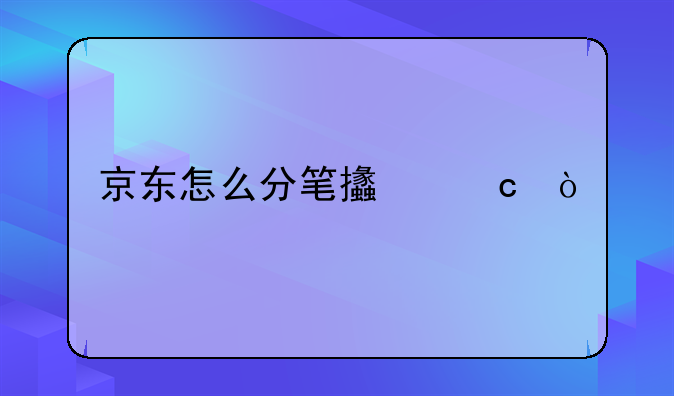 京东怎么分笔支付？