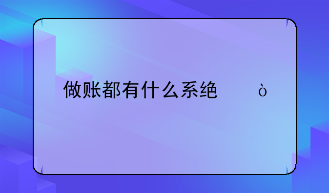 做账都有什么系统？