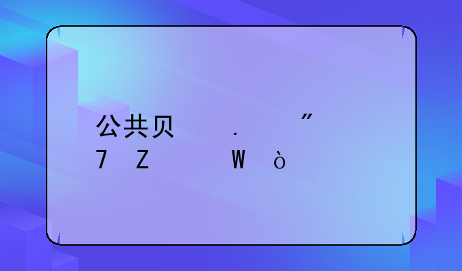 公共负担分配方法？