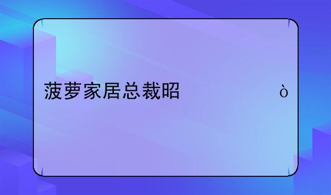 菠萝家居总裁是谁？