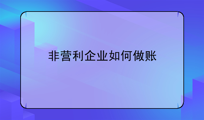 非营利企业如何做账