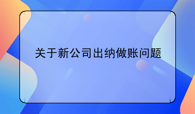 关于新公司出纳做账问题