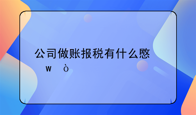 公司做账报税有什么意思？