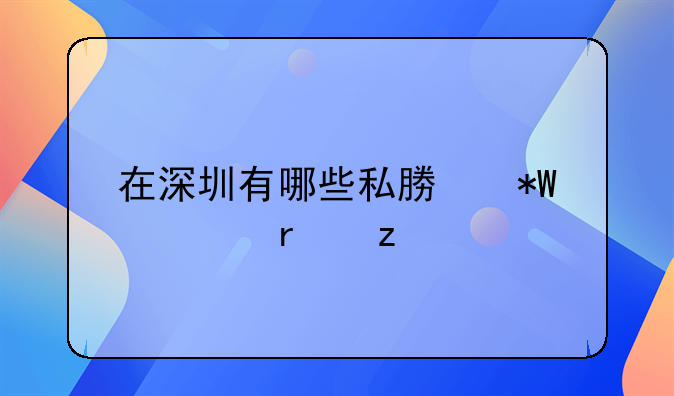 在深圳有哪些私募投资机构