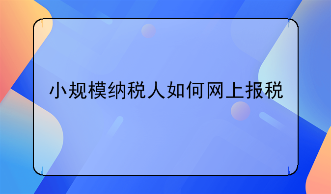 小规模纳税人如何网上报税