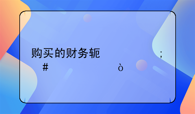 购买的财务软件怎么入账？
