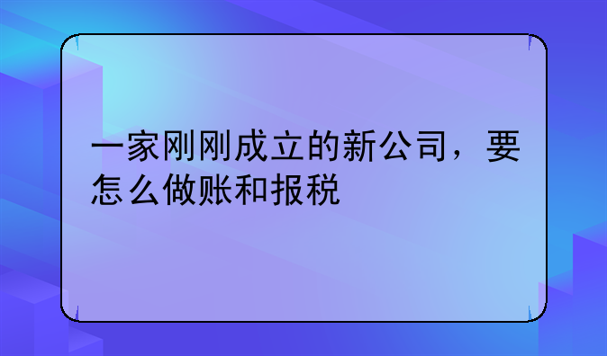 一家刚刚成立的新公司，要怎么做账和报税