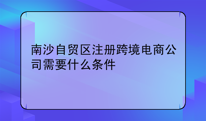 南沙自贸区注册跨境电商公司需要什么条件