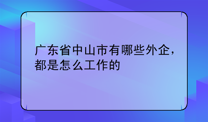广东省中山市有哪些外企,都是怎么工作的