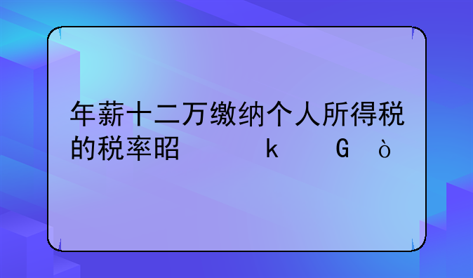 年薪十二万缴纳个人所得税的税率是多少？