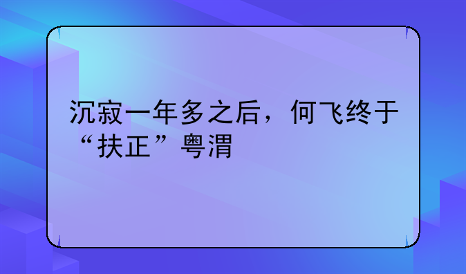 沉寂一年多之后，何飞终于“扶正”粤港湾