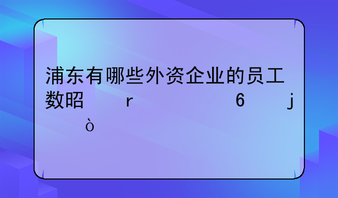 浦东有哪些外资企业的员工数是在一千的？