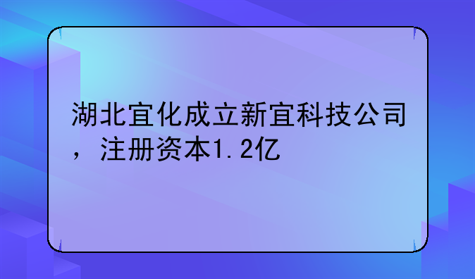 湖北宜化成立新宜科技公司，注册资本1.2亿