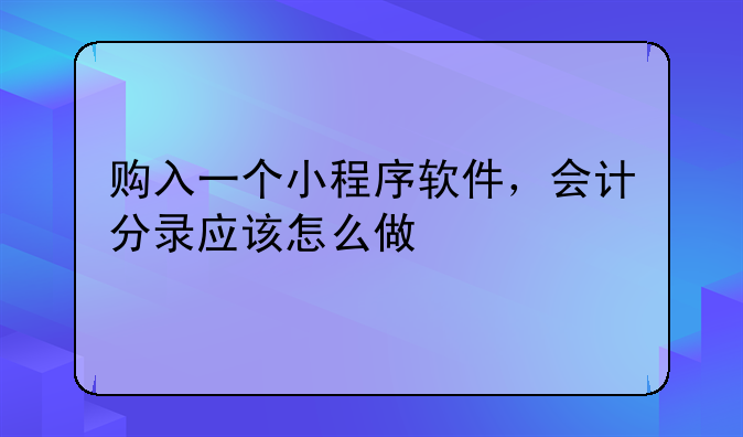 购入一个小程序软件,会计分录应该怎么做