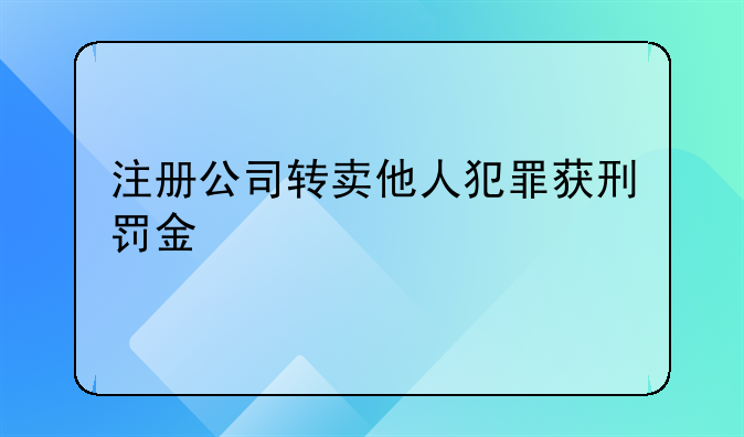注册公司转卖他人犯罪获刑罚金