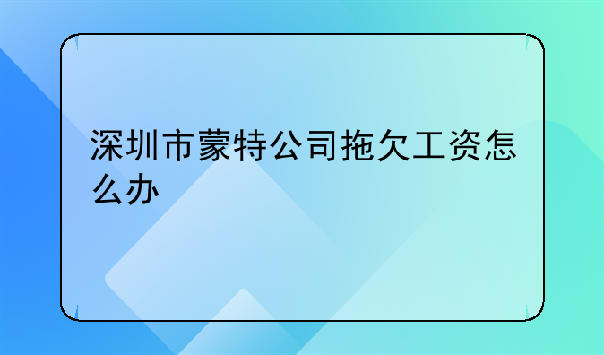 深圳市蒙特公司拖欠工资怎么办