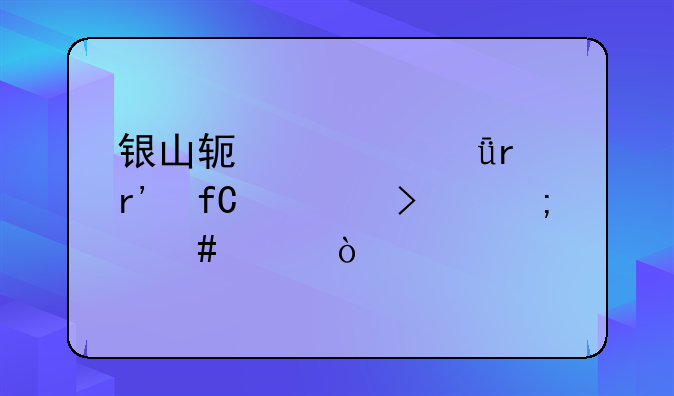 银山软件(深圳)有限公司怎么样？