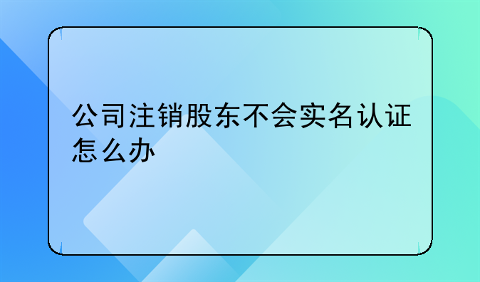 公司注销股东不会实名认证怎么办