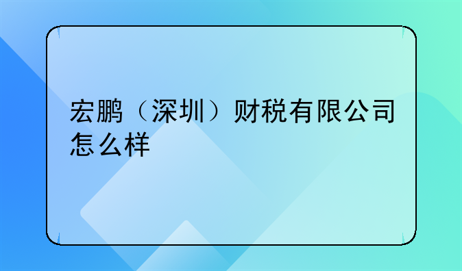 宏鹏(深圳)财税有限公司怎么样