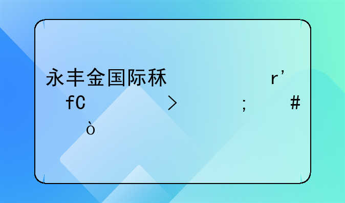 永丰金国际租赁有限公司怎么样？