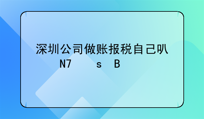 深圳公司记账报税凭证汇总表 深圳公司做账报税自己可以操作吗