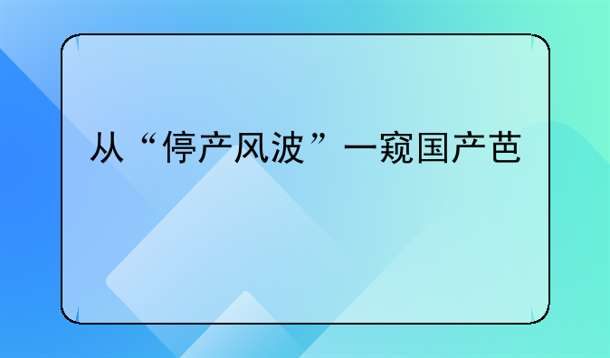 从“停产风波”一窥国产芯片的机会
