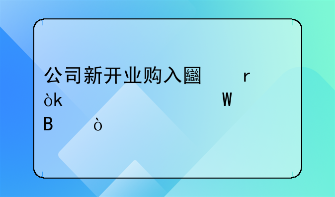 公司新开业购入土地会计如何处理？